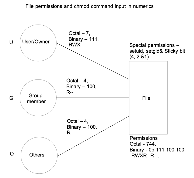 chmod and file permissions in UNIX