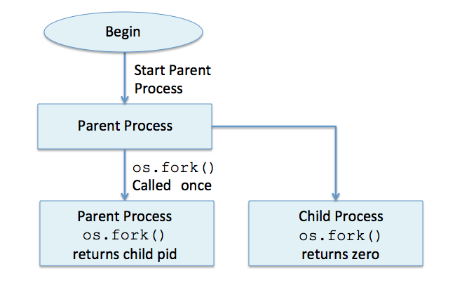 Fork process deals