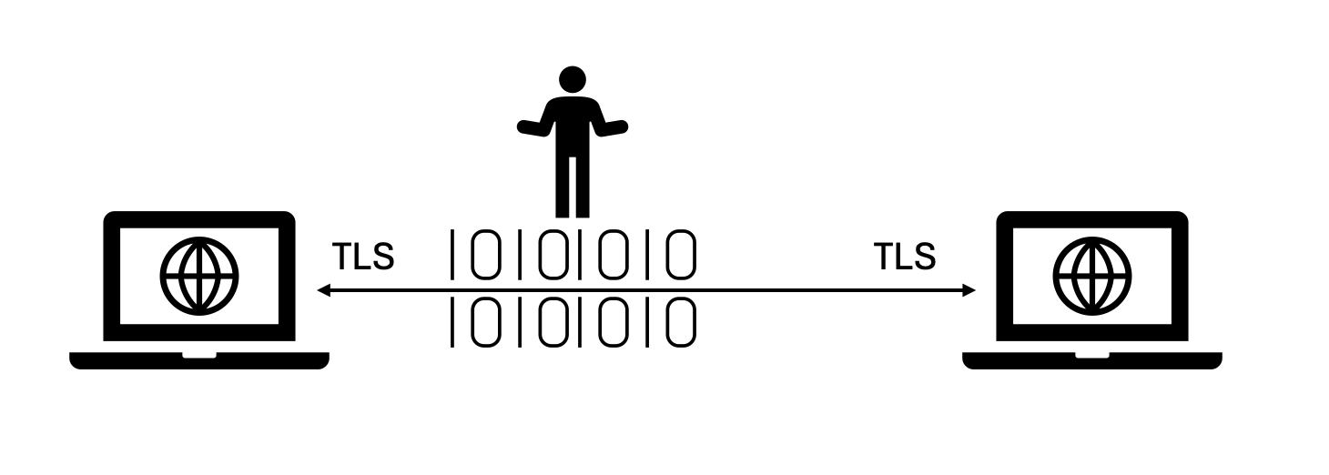 TLS providing secure communication between two network end-points